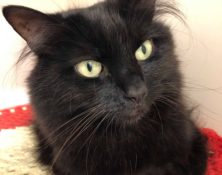 Autumn – 6yrs – Female