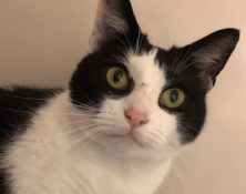 Lucy – 3yrs – Female