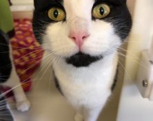 Betty – 6yrs – Female