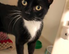 Cron – 8yrs – Male