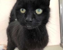 Jack – 7yrs – Male