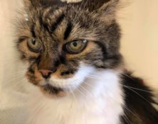 Guili – 13 yrs – Female