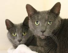 Billie & Warren – 6yrs – Female & Male