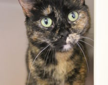 Sophie – 3yrs – Female