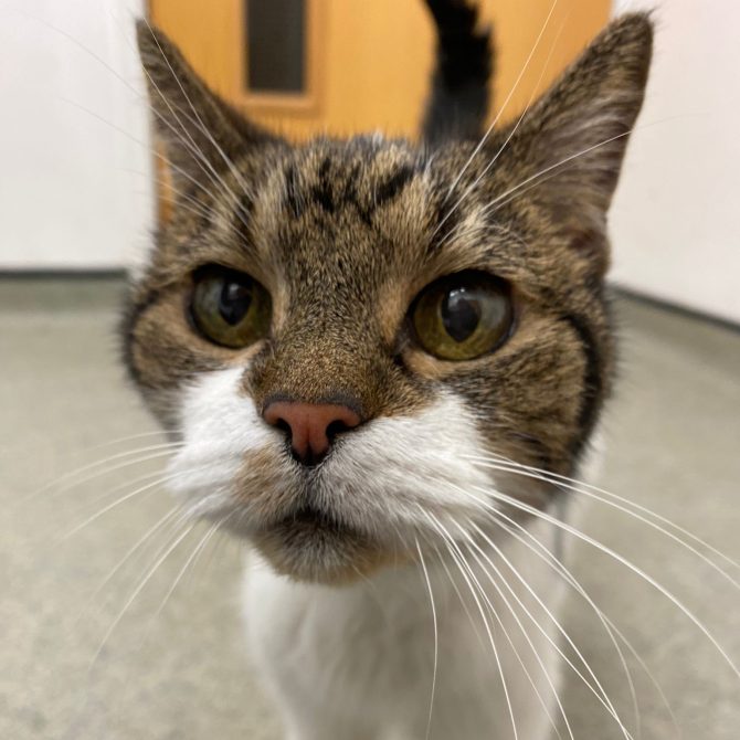 Judy – 16yrs – Female