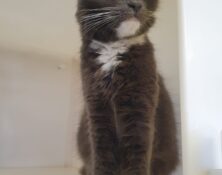 Pearl – 18mts – Female (RESERVED)
