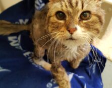 Rosa – 14yrs – Female