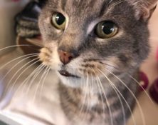 Zoe – 17yrs – Female