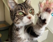 Ava – 16yrs – Female