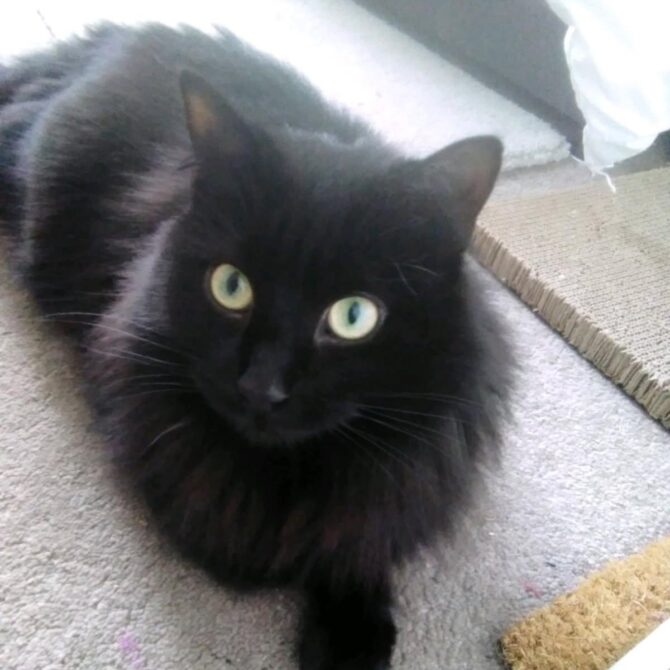 Bernard – 2yrs – Male