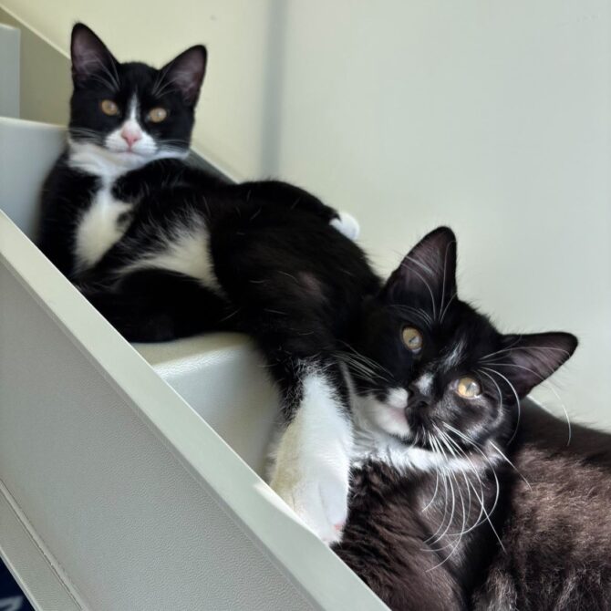Boe & Marley – under 6mts – Various (RESERVED)