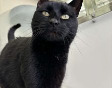 Danny – 10yrs – Male
