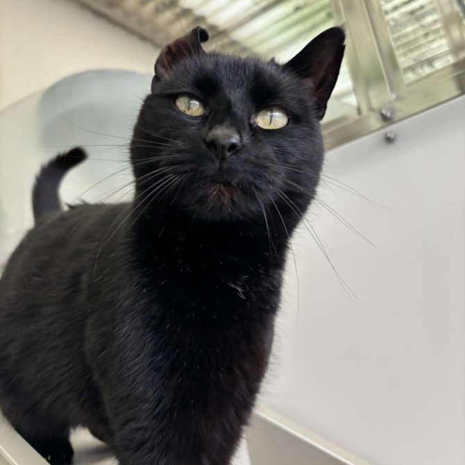 Danny – 10yrs – Male