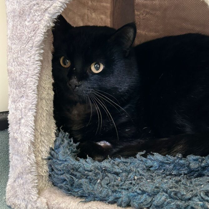 Edgar – 5yrs – Male