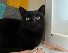 Edgar – 5yrs – Male