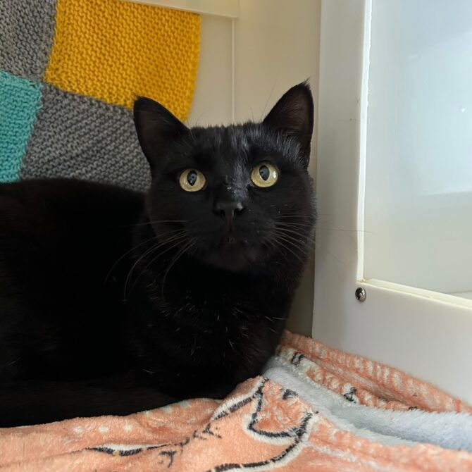 Edgar – 5yrs – Male