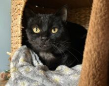 Edgar – 5yrs – Male