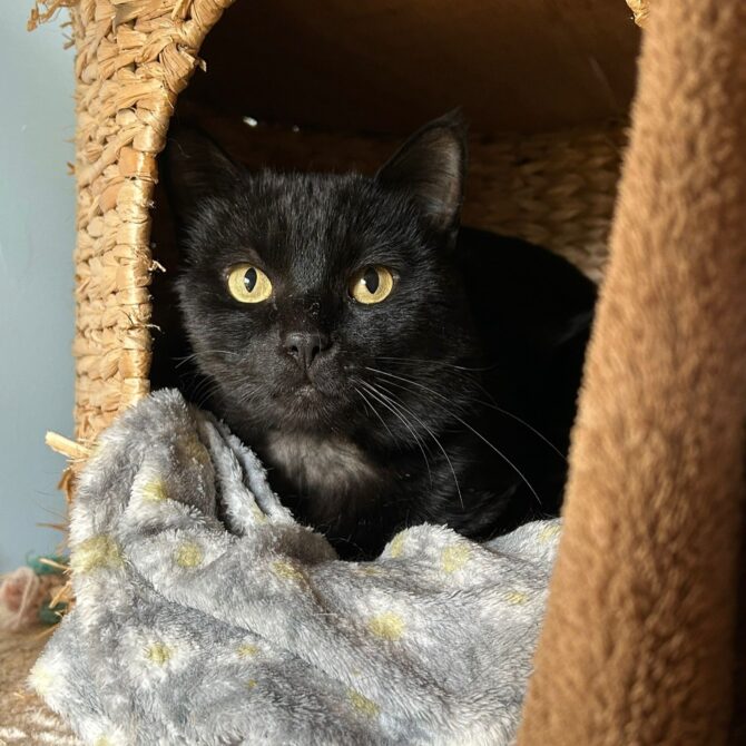 Edgar – 5yrs – Male