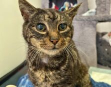 Ethel – 15yrs – Female