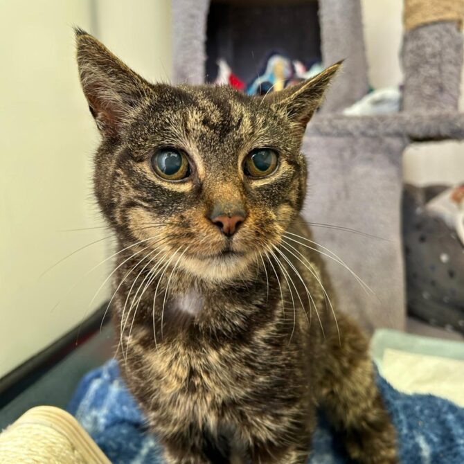 Ethel – 15yrs – Female