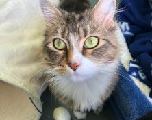 George – 2yrs – Male