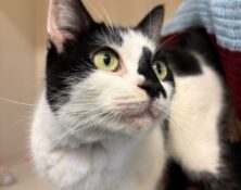 Hannah – 4yrs – Female