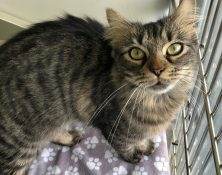 Jenny – 2yrs – Female