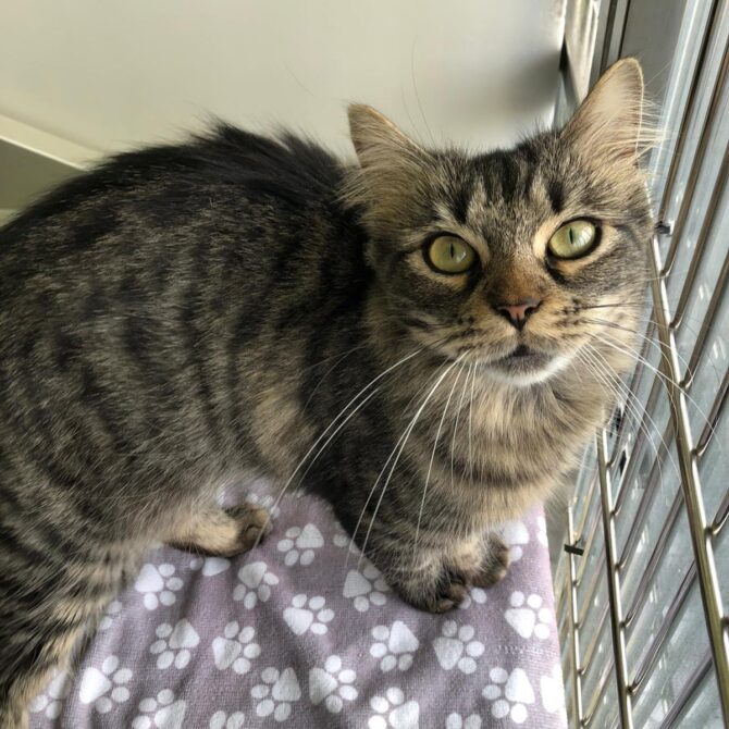 Jenny – 2yrs – Female