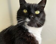 Jess – 12yrs – Female