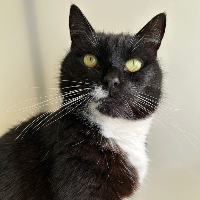 Jess – 12yrs – Female