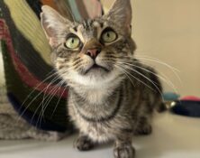 June – 1yrs – Female