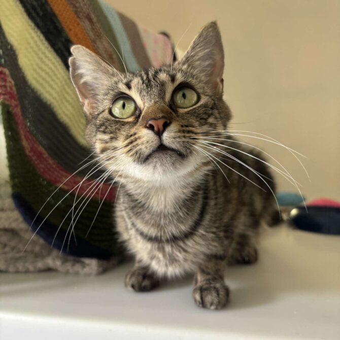 June – 1yrs – Female