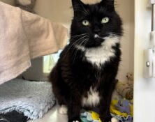 Max – 6yrs – Male