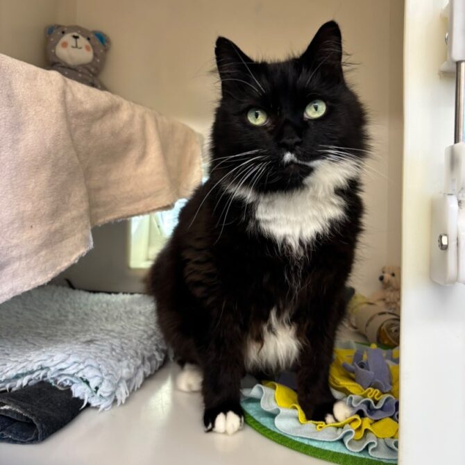 Max – 6yrs – Male