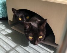 Mickey & Minnie – 2yrs – Various