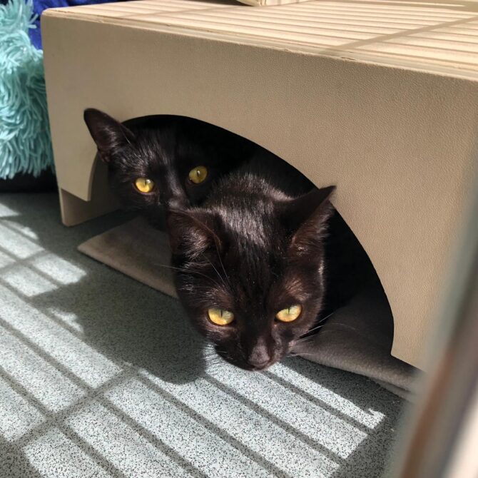 Mickey & Minnie – 2yrs – Various (RESERVED)