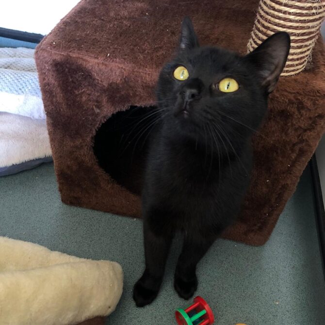 Mickey & Minnie – 2yrs – Various