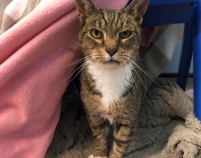 Ted & Maddie – 12yrs – Various