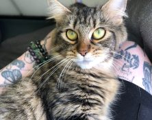Wendy – 2yrs – Female