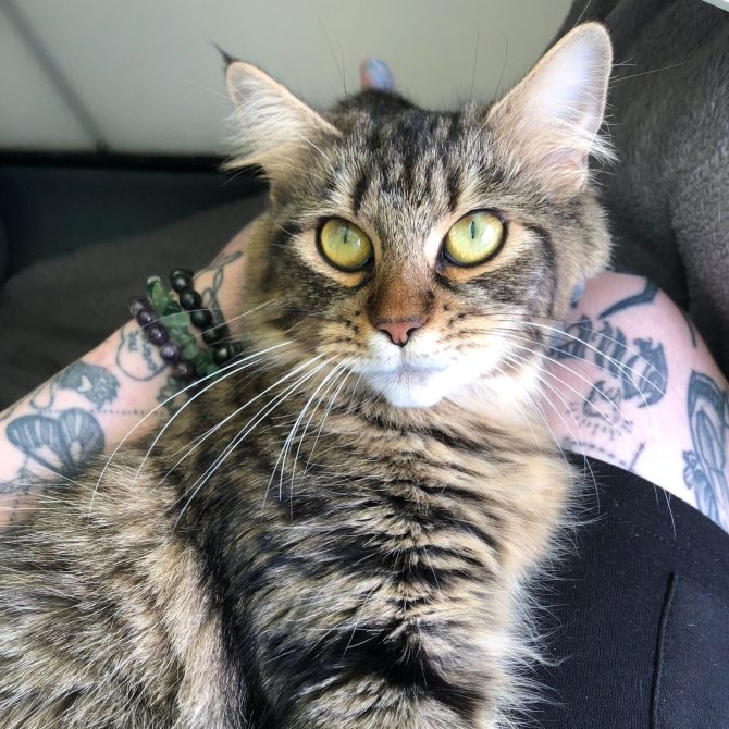 Wendy – 2yrs – Female